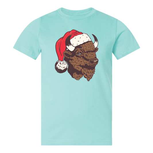 Santa Bison | December '24 | OK SOTM