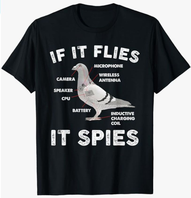 Example school shirt