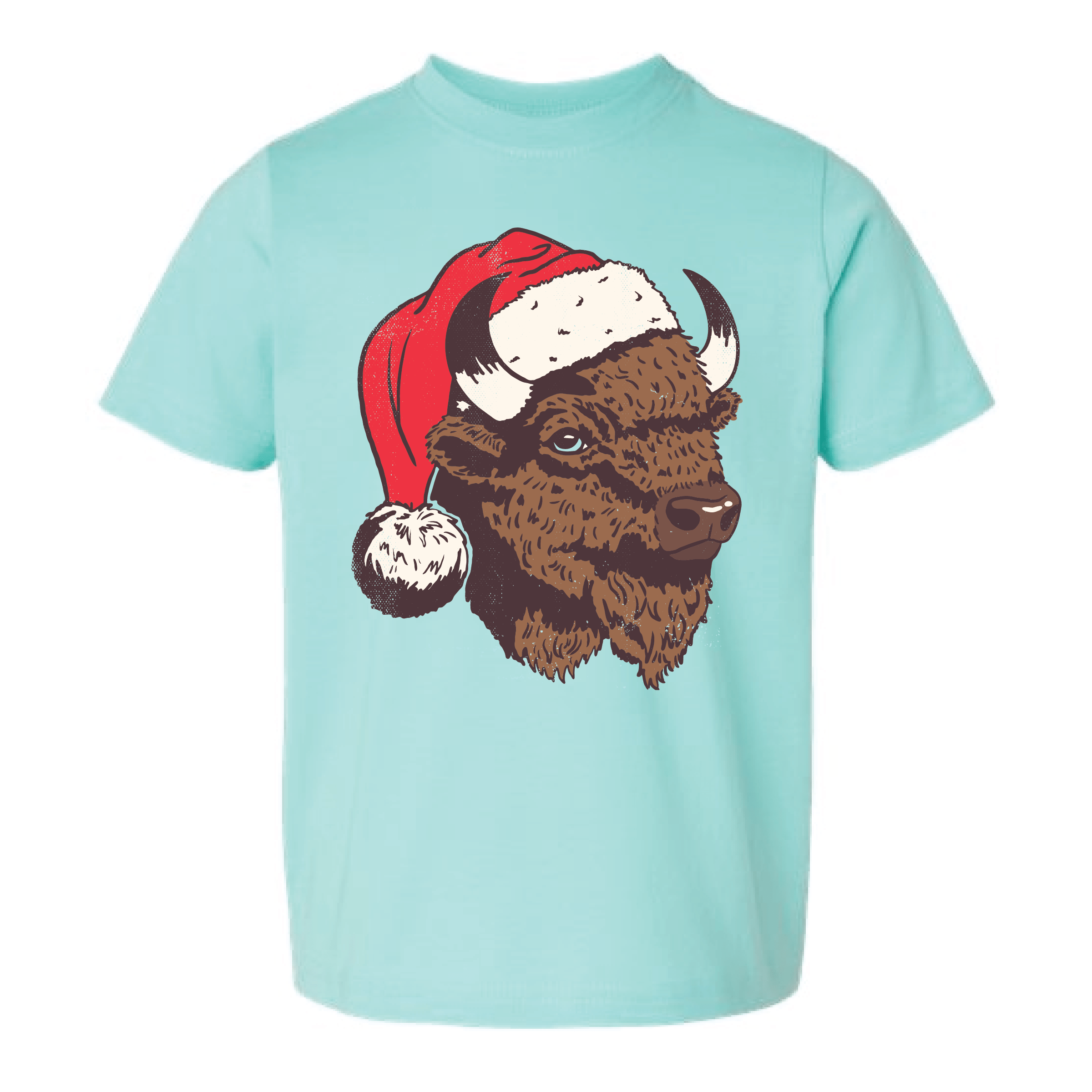 Santa Bison | December '24 | OK SOTM