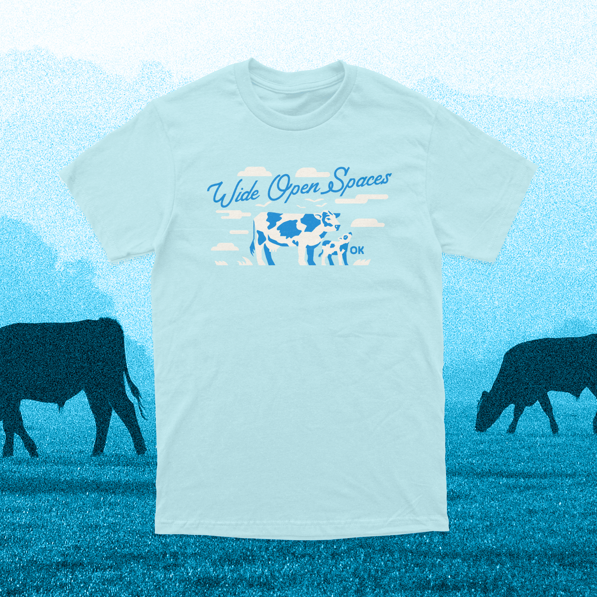 Wide Open Spaces | June '26 | OK SOTM